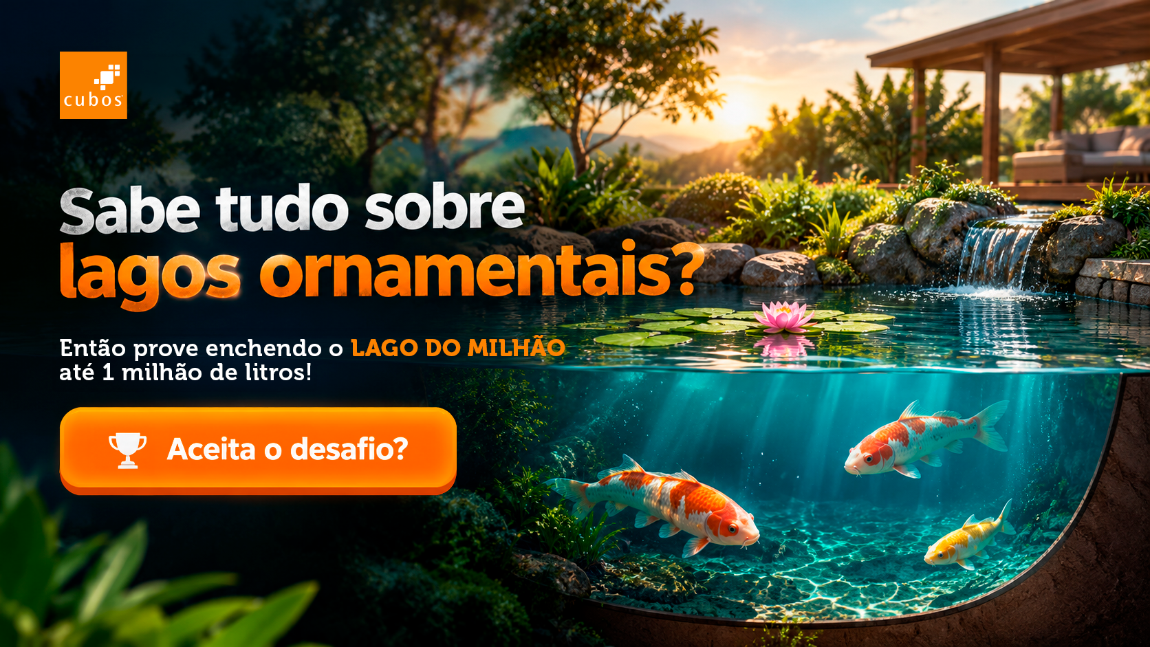 Cubos